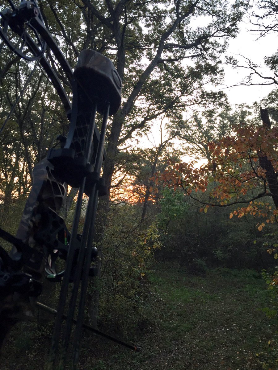 SparkManDo's tweet photo. Enjoying another beautiful sunrise.... but there always awesome from the woods!
#Proudhunter #MathewsCreed https://t.co/hGIBBeB3nD