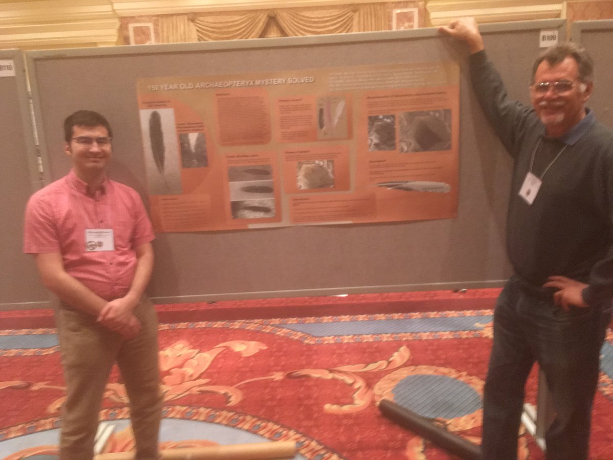 Pittman Palaeo Lab tweet media