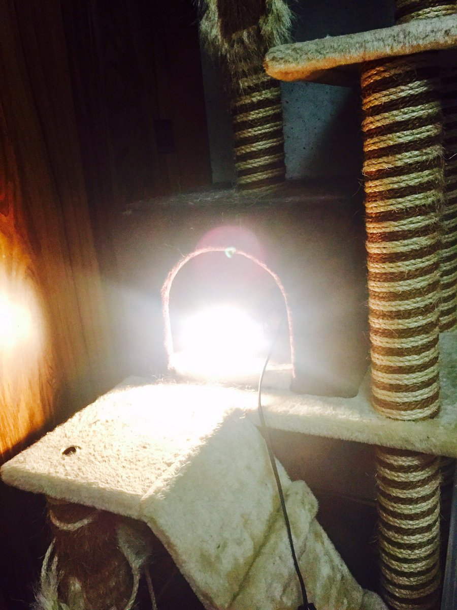 June M よくきた ここは おまえのばしょ だ しかし いまは わたしのばしょだ うばいかえせばよい できるものなら Mother2