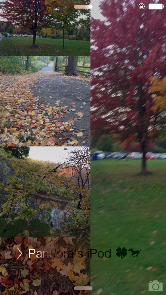 Esmerodo's tweet image. #fallTO #LambtonWoods #Etobicoke #the6ix I hike here &amp;amp; watch Blue Jays, migrating Red Crowned Kinglets &amp;amp; chipmunks