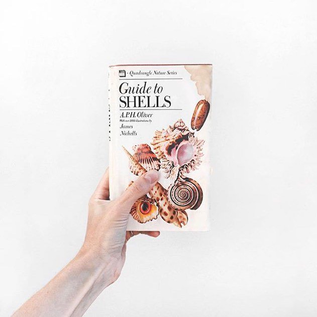 seatail_mermaid's tweet photo. Things every mermaid needs 🐚📖#shellbook from @lolopetitpot https://t.co/zcLIqhg4Dl