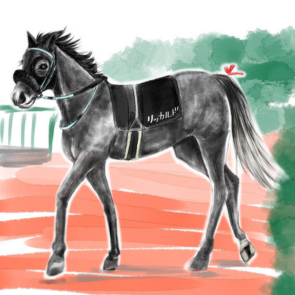 蒼月まひる モーメント用 競走馬の絵 マカヒキ マメちん フェノーメノ シロニイ リッカルド 競走馬 イラスト マカヒキ フェノーメノ シロニイ リッカルド