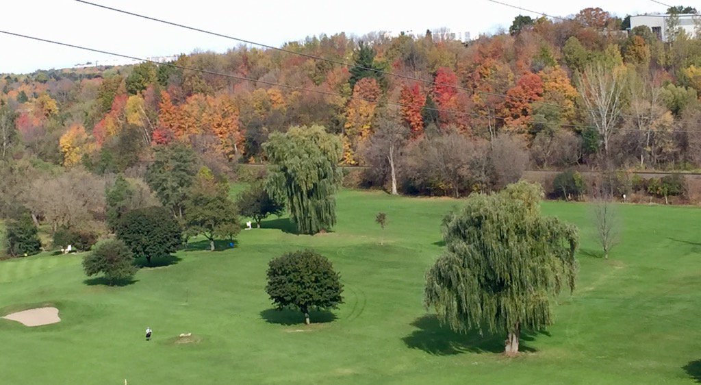 YYZahra's tweet image. Perfect fall day #fallTO