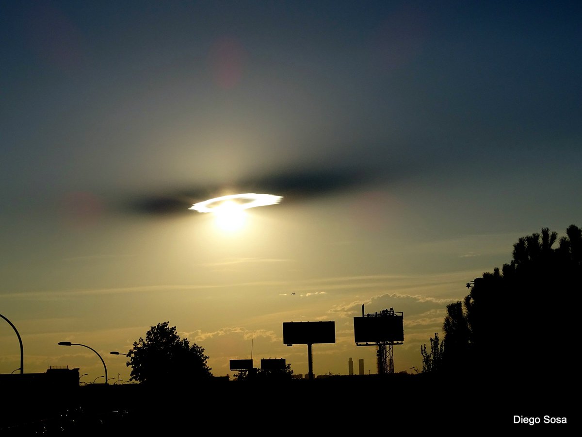 DIEGO SOSA tweet media