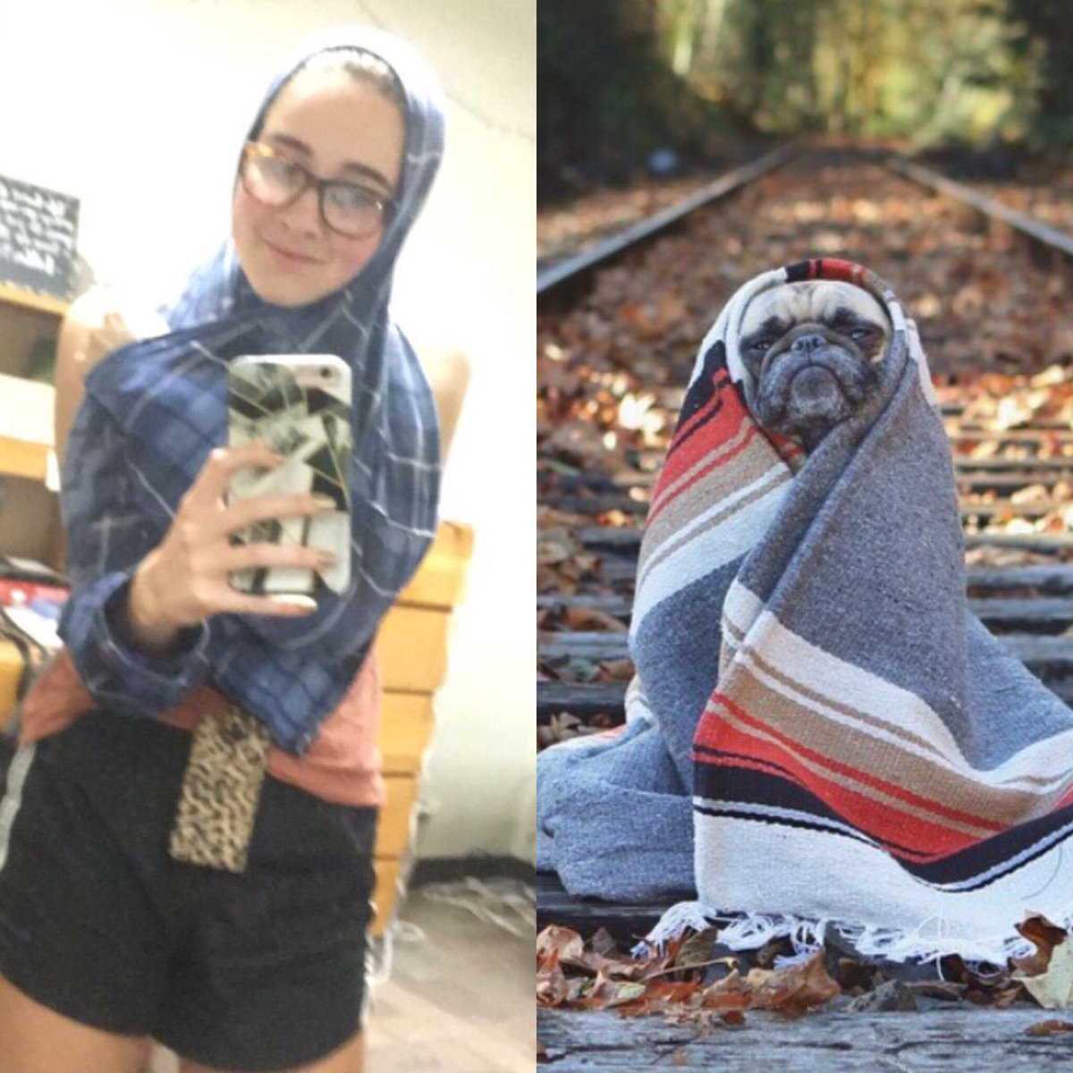 nightinwolves's tweet photo. You vs. the girl he tells you not to worry about #fall #basic #fallgurls #colors #lifegiving https://t.co/JGJt79qkXv