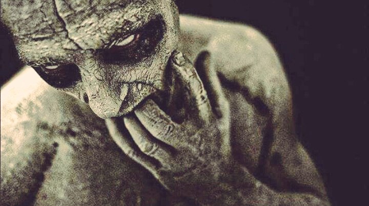 In the shadows tweet media