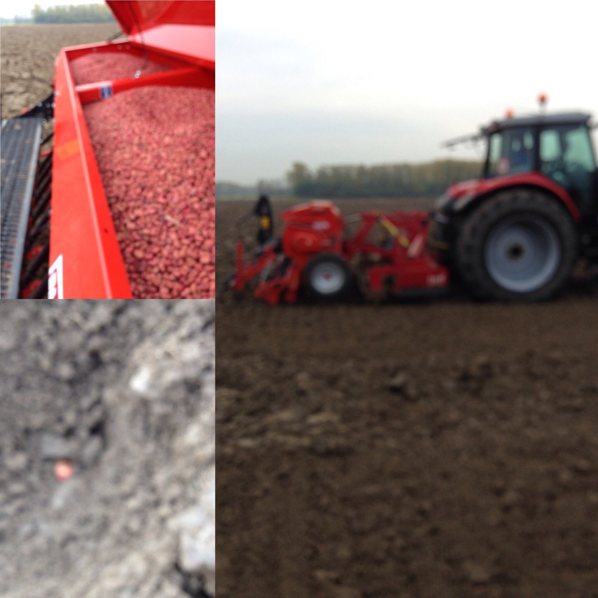 ThomasLimaBe's tweet photo. Zaai #Tundra #winterveldbonen in zware bodem. Zaaidiepte 8 cm #fieldbean #agriculture @LimagrainBE @WannesLimaBe @NeleLimaBe https://t.co/b2cn5pLknv