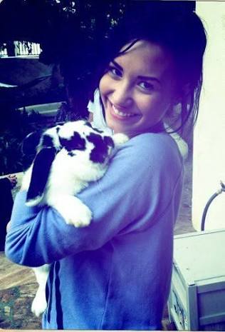 ritaleee tweet picture