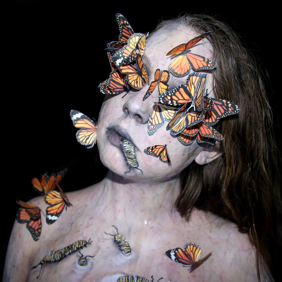 pigeonpieO_o's tweet image. Only 4 photos at once, twitter why you gotta do me like that.