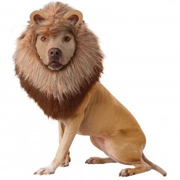 10 Great Things to do in Worcester This Weekend - October 28, 2016 golocalworcester.com/lifestyle/10-g…