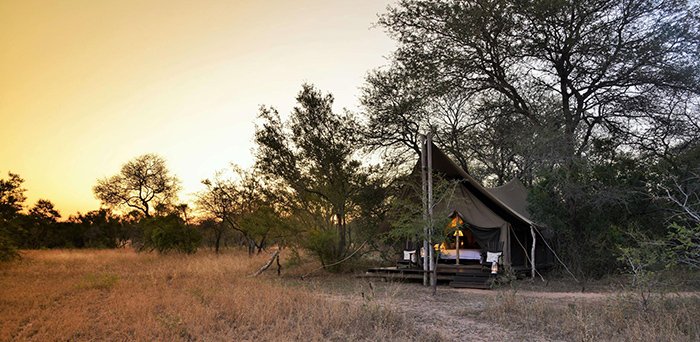 WildWingsSafari's tweet photo. #KrugerMagic: Why I return to the Kruger National Park every year - Africa Geographic https://t.co/mYDUzIVGDW https://t.co/8SRQ3blS42