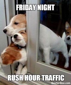 When You Just Wanna Get Home On A Friday Evening! #FridayNightTraffic #RushHour #TGIFriday