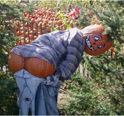 rusticviewgarde's tweet photo. As we prepare for #Halloween! Have a fun Friday. https://t.co/1stX7WREqY