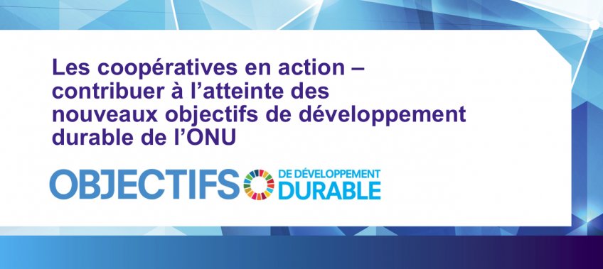 SommetInterCoop's tweet photo. Il ne reste que 3 jours pour faire parvenir vos commentaires sur la déclaration préliminaire #SICOOP16! https://t.co/HkbjfDeqLd https://t.co/hUEO7F9scx