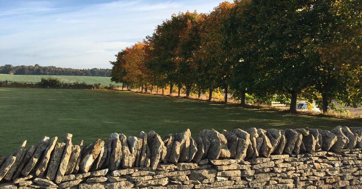 Jigsaw Holidays tweet media