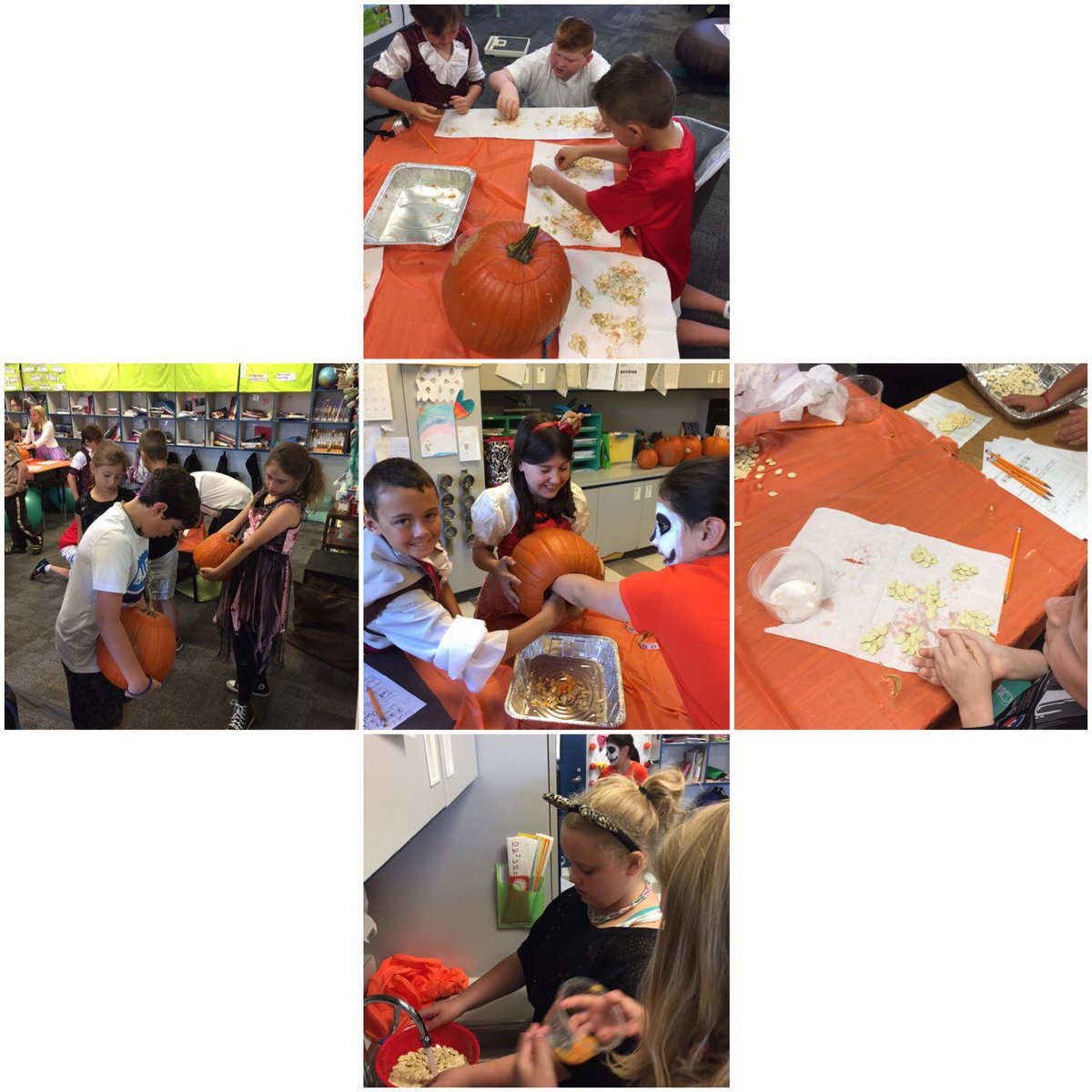 cboscoteach's tweet photo. 4thgrade #whymme using efficient mathematical strategies in a pumpkin lab #whywisd #roopride https://t.co/blPjxFWE41