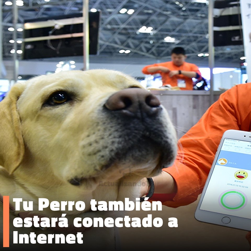 Racode_ve's tweet image. entérate mas acerca de esta noticia. en nuestras redes sociales
instagram.com/actualizandot/…
facebook.com/ActualizandoT1/