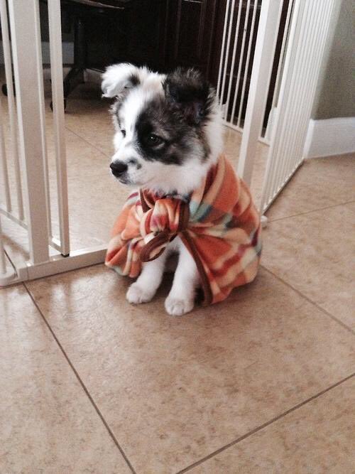 Spring (@ss620ss) on Twitter photo 