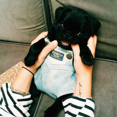 Spring (@ss620ss) on Twitter photo 