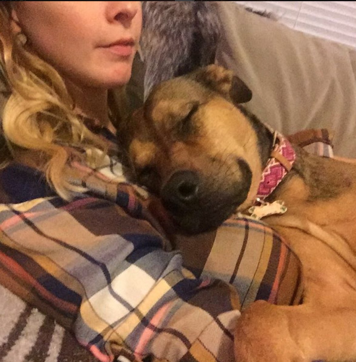 FCollars's tweet photo. Cuddle buddy for life. #friendshipcollar

https://t.co/ZYx3y4fxmL https://t.co/hILLLYRtlR