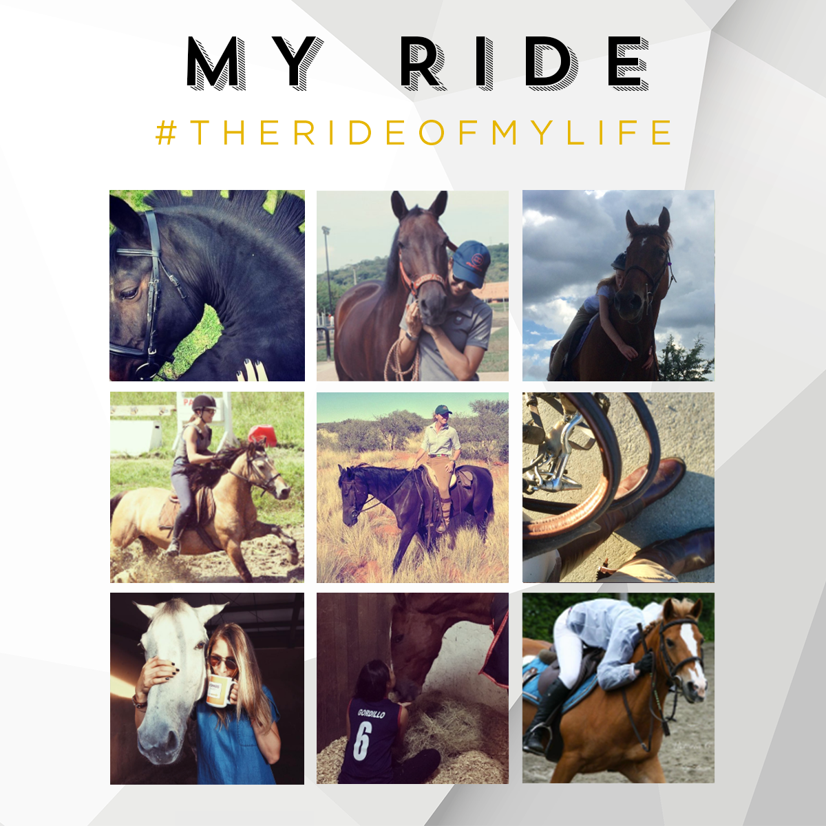 WeRideTheWorld_'s tweet photo. Are your best horse riding moment already on our #THERIDEOFMYLIFE wall? To take part —> https://t.co/m2Nc7hpN5V https://t.co/OSaEkE4CMt