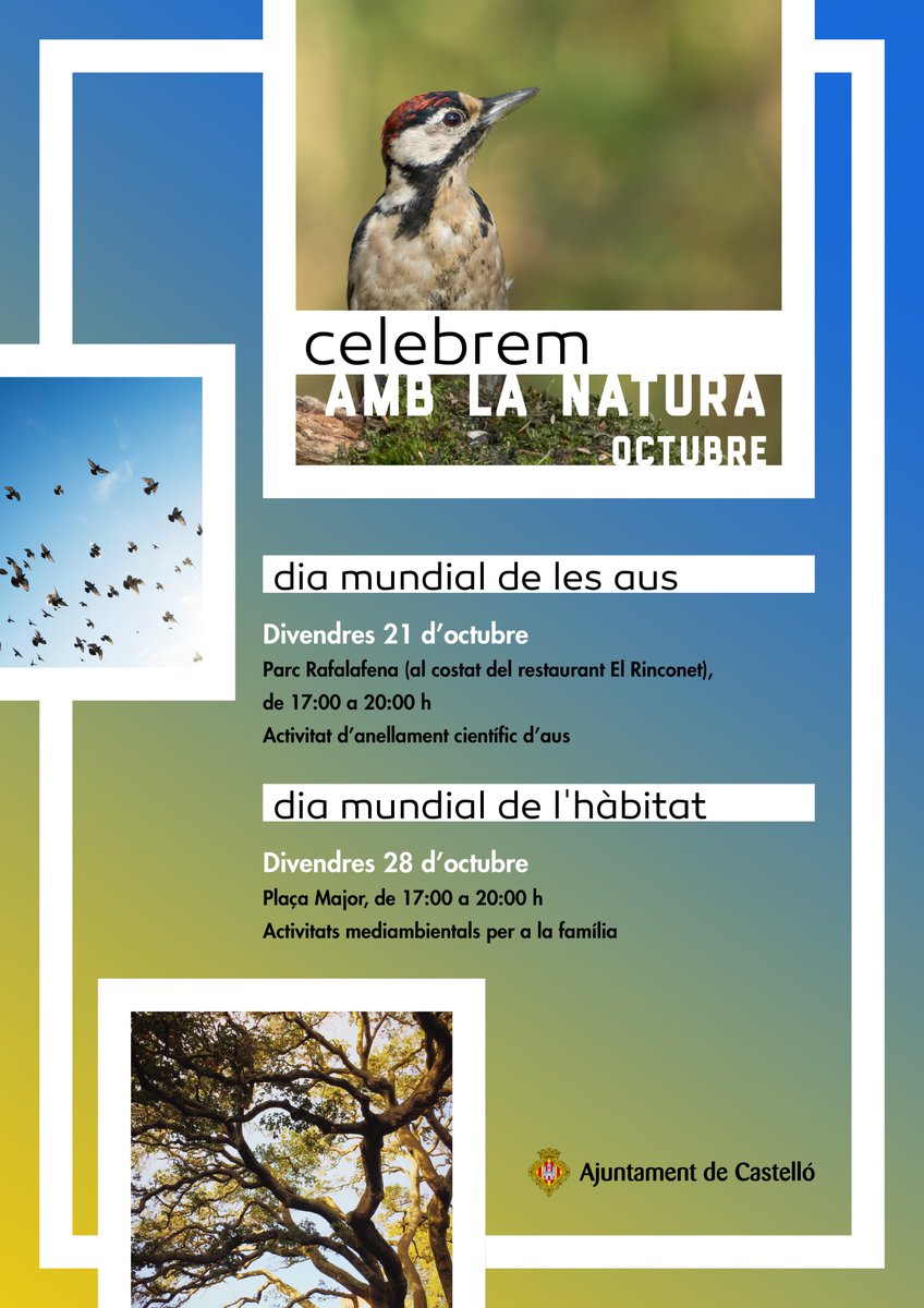 Celebrem amb la natura... vine a celebrar el Dia Mundial de l'Hàbitat a la plaça Major. #CastellóPerLaNatura