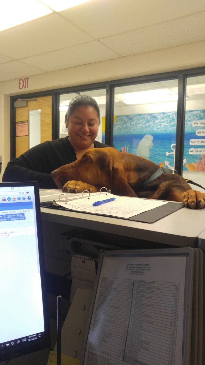 melirbbps's tweet photo. Skye was eager to receive her visitor pass this morning. Thanks @MonmouthSheriff for the visit!! @rbpsEAGLES #caughtsnooping #snoopingaround https://t.co/8yOgWSAinz