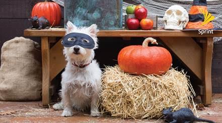 #Chicago! Celebrate #Halloween w/FREE FOOD &amp; music this Sat 10/29 at Sprint on 4654 S. Pulaski from 12pm – 2pm @Sprint4Chi <a href="/Amor1067/">Amor 106.7</a>