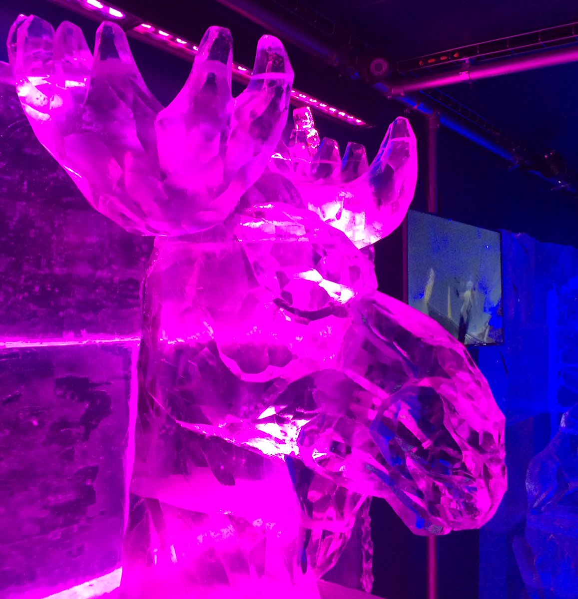 anne_gorringe's tweet photo. Gr8 night out with mates @eishausbar at #SkiShowLondon Got the cold shoulder from the locals, though ;) #MarkBarber #MichaelCranmer https://t.co/YsVy58y8j6