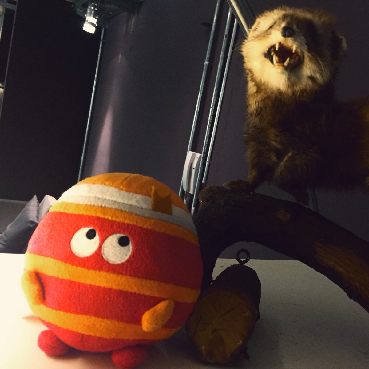 It already found a new friend in the office. ❤️ #smashingconf <a href="/smashingconf/">SmashingConf</a> <a href="/smashingmag/">Smashing Magazine 🇺🇦 🏳️‍🌈</a>