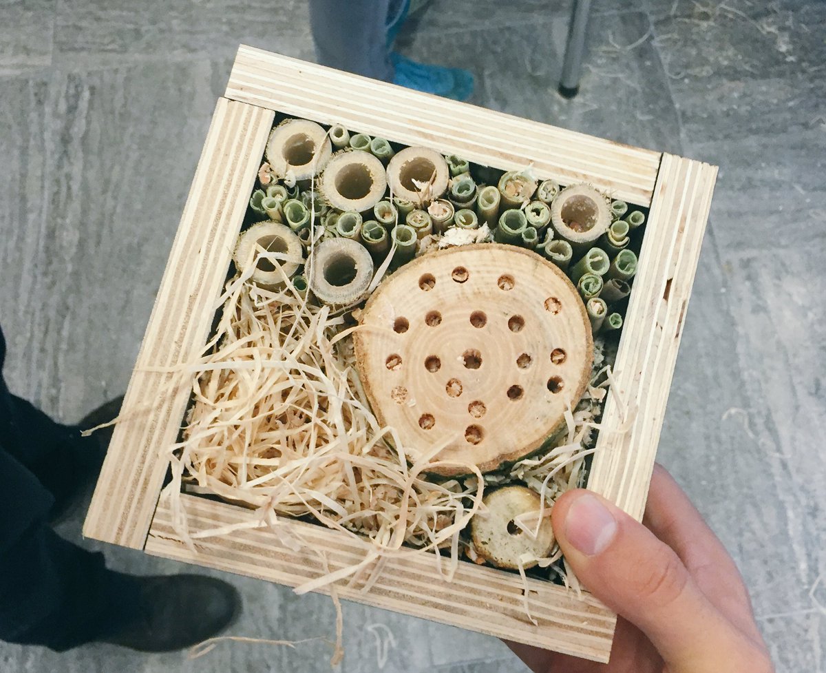 NCannegieter's tweet photo. Tijdens #DDW16 van m'n creatiefste kant laten zien! Meegebouwd aan het grootste insectenhotel van Eindhoven! Leuk voor jong &amp; oud! #Eindhoof https://t.co/v4LH6DphaI