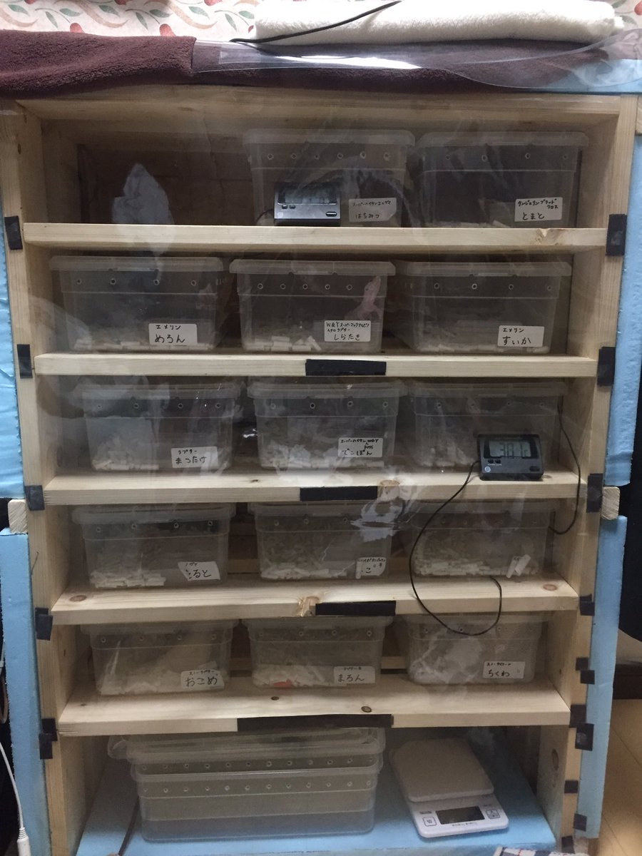 fenril0101 暖突増やすのがいいと思いますよ。参考程度にうちでは幅60