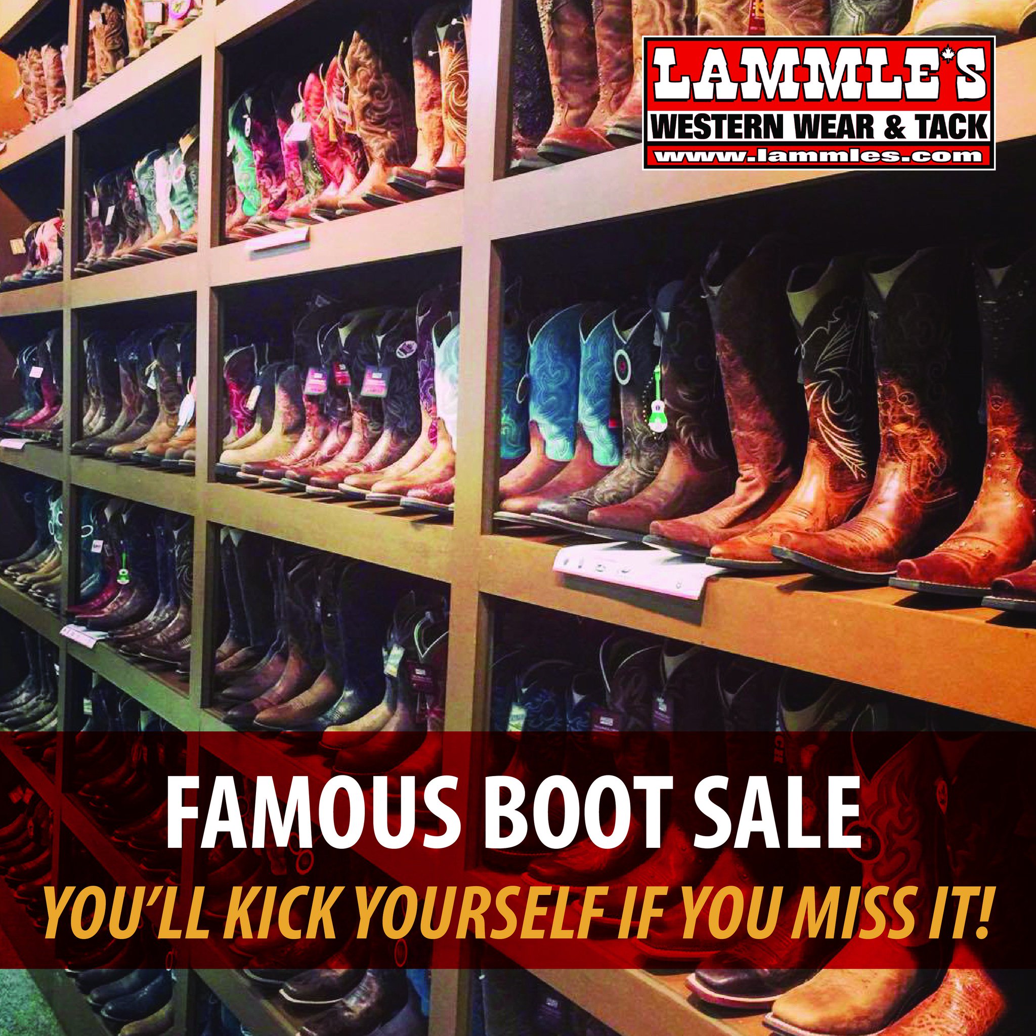 lammles boots
