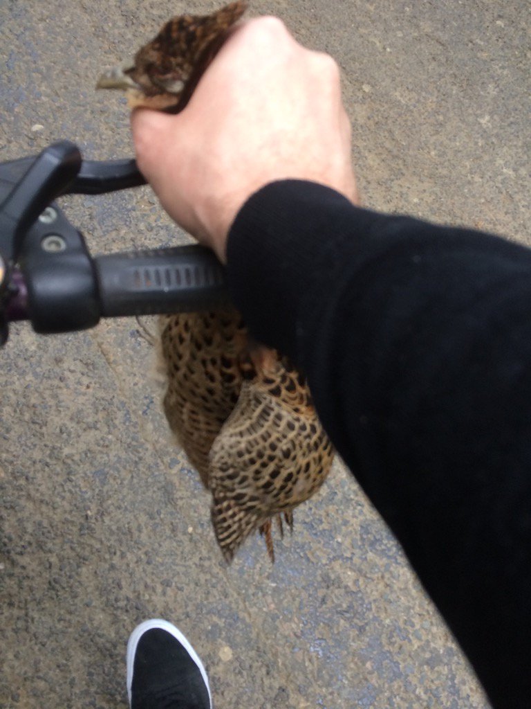 James Timothy tweet media