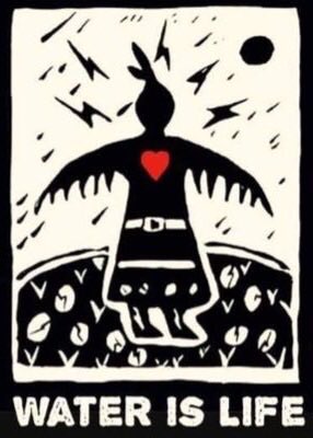 SistersofAllNat's tweet photo. Standing Rock #NoDAPL #WaterIsLife ✊🏽 https://t.co/cEs83ehPoS