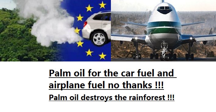 LennoxBoymann's tweet photo. @greenpeaceusa @WWFCanada @VW @Shell_US @ShellMotorsport 
#PalmOil #rainforest #CarFuel #AirplaneFuel #BioFuel https://t.co/G8Sk7TXyOY
