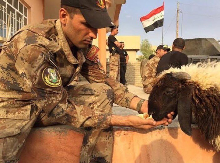 abas_almamory's tweet photo. انهم بالحق رجال السلام 
#الحشد_رايته_السلام https://t.co/SkzRCFGSVG