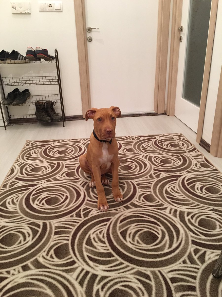 Şuan da cezalı ve tam olarak 48 dk oldu.