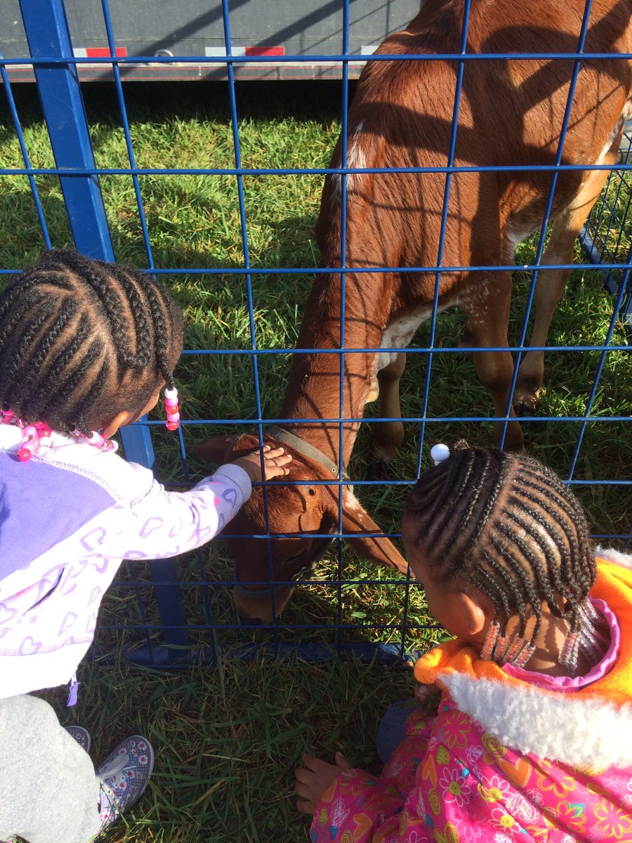Ervin's Fall Pumpkin Patch with PreK complete with pumpkins, story time, and petting zoo!