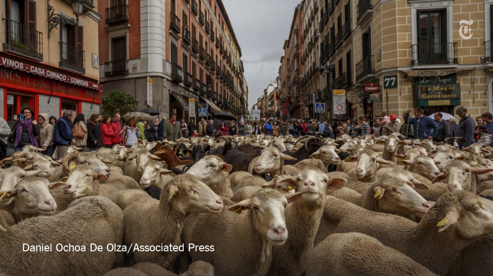 nytimes's tweet image. Photos of the week nyti.ms/2eMKOTu