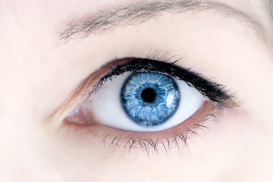 FloridaEyeJax's tweet photo. Do you know how fast the average blink is? How much your eye weighs? Learn some eye facts: https://t.co/MO9Ouursyg https://t.co/BSyHrLkLtv