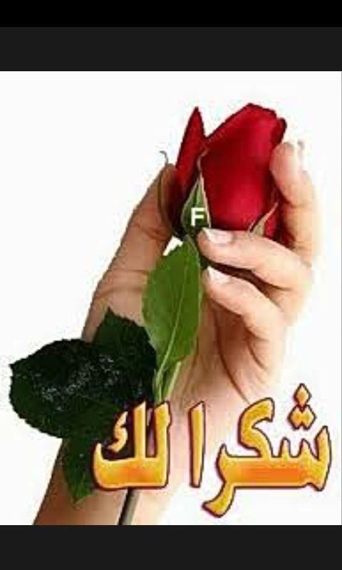 <a href="/FMCh46tgly7xSe6/">بنت الناصريه</a>
 رب💛ي يسلمج ويعافيج اخيتي الغاليه