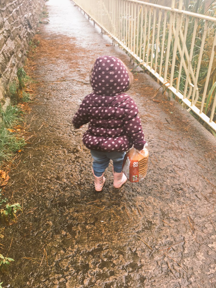 Em_thorpey's tweet photo. Off to feed the duckies!! #Autumnwatch #LymmDam https://t.co/BAmMvHFdS4