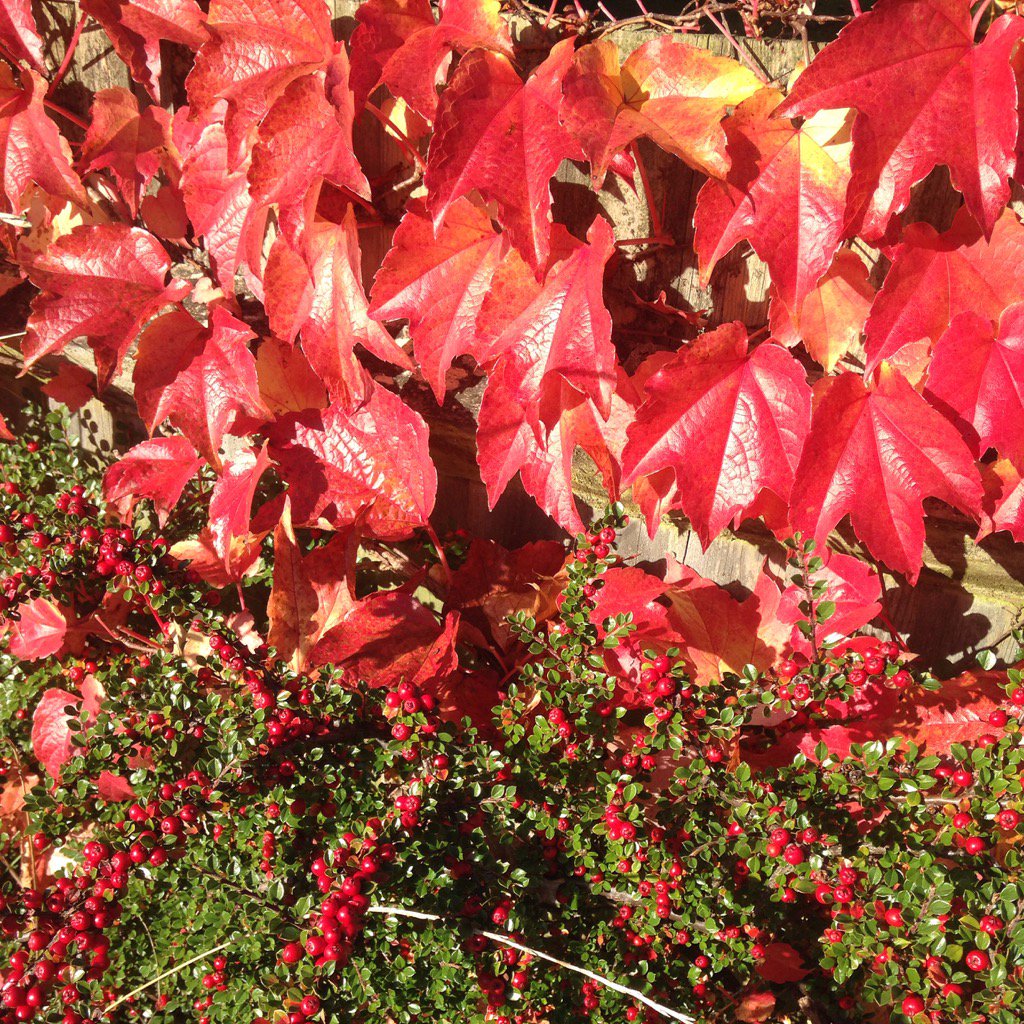 #ff fab fellas <a href="/DropDeadChocs/">Jonathan Danby</a> <a href="/neilgiller/">Neil Giller</a> @degrafik <a href="/sawangosrani/">sawangosrani</a> <a href="/HombresMexican/">HOMBRES MEXICAN</a> <a href="/gredosdaniel/">SOLES DE GREDOS</a> @MichaelCollabro 💃💃💃