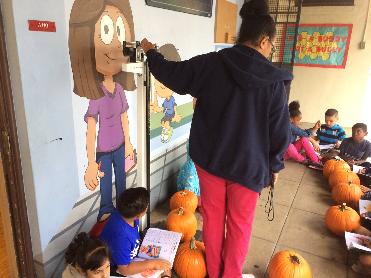 jacksonpusd's tweet image. Collecting data on pumpkins with Ms. Reese. #mathincontext