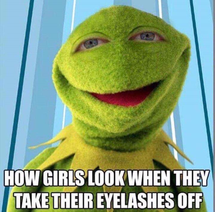 AmyRmzNP's tweet photo. Don't end up like #Kermit‼️ My #lashes & #lashlist is growing‼️ Where is YOUR name⁉️ #RFLashBoost https://t.co/YH8SZ0D1VB