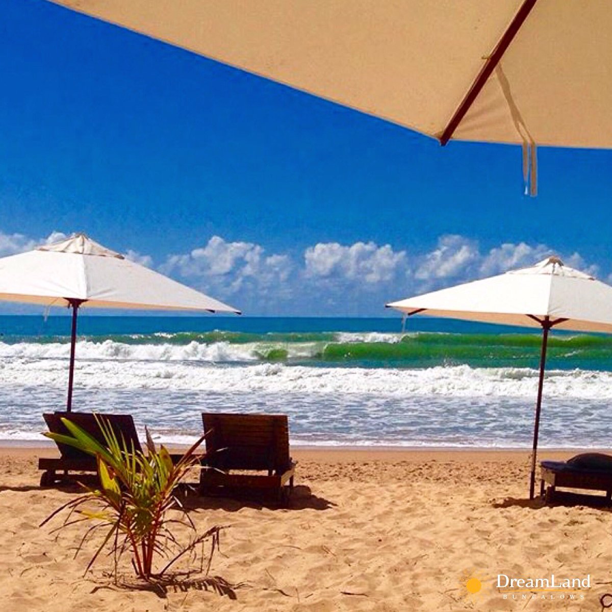Dreamlandbrasil's tweet photo. Let the sea set you Free! 🙌👣🌎🌊💙🆓 #peninsulaDeMarau #diaDeverao #peNaAreia #beachLover #aguaSalgada #taipuDefora #sunAddicted https://t.co/3NortS8Gm7