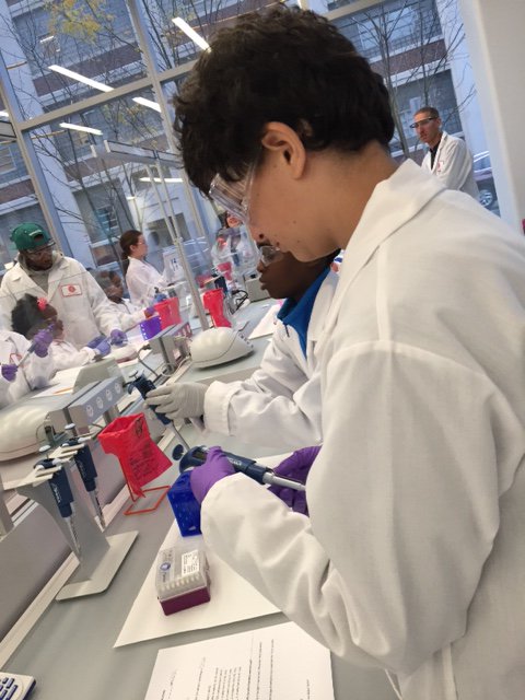 Tutoring_Plus's tweet photo. Thank you to @Novartis for welcoming our students to CELL. They had a blast practicing with pipettes, in preparation for a DNA project! https://t.co/Gv6EDU7KIr