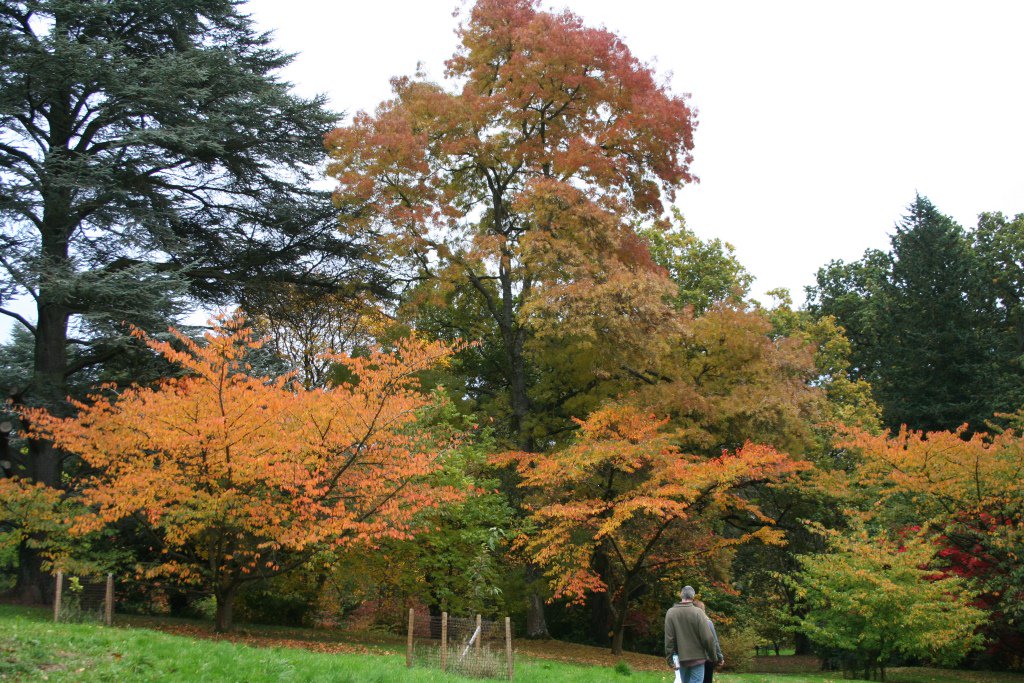 A busy week <a href="/BatsfordA/">batsforda</a> - thank you to all who have visited! We expect to be busy again this weekend, the #arboretum still looks spectacular!