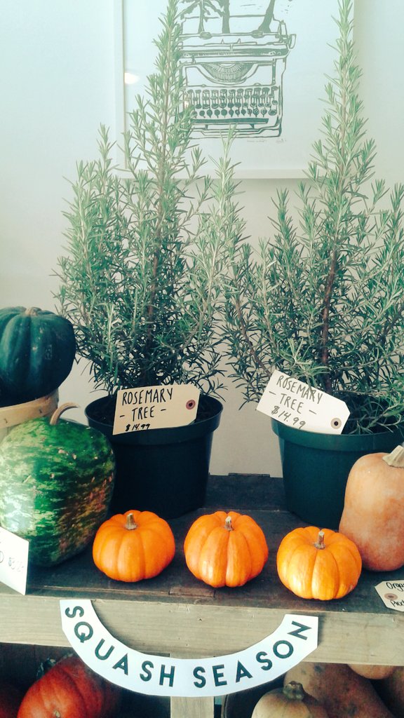 legacygreens's tweet photo. Rosemary trees from the @Workingcentre are in! #edibledecor https://t.co/MREnMt1unj